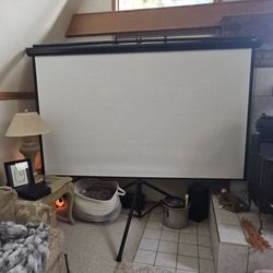 Projector and Screen