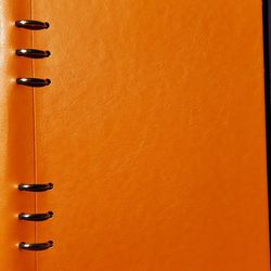 Orange A5 Filofax Clipbook