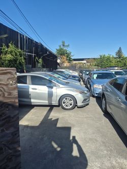 Public auctions