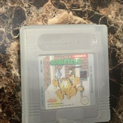 Garefield  Labyrinth :Game Boy 