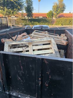 JuNK RemoVED tRAsh