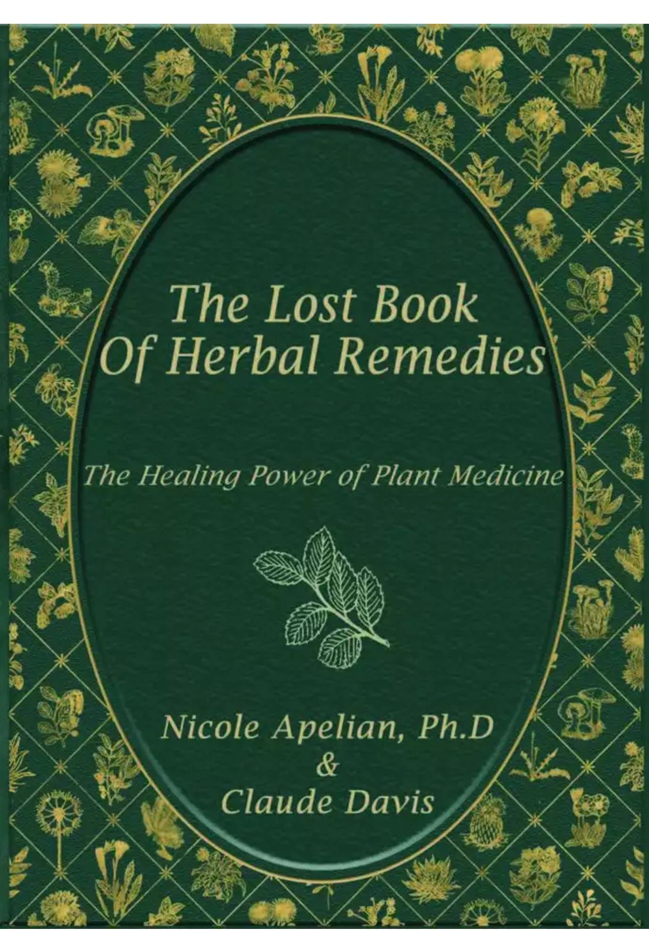 The Lost Book of Herbal Remedies “paperback”