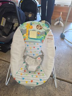 Baby Bouncer