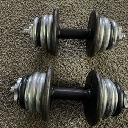 Dumbbells Adjustable