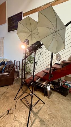 Professional PROFOTO D1 500 studio flash lights photography