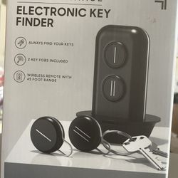 Electronic key finder