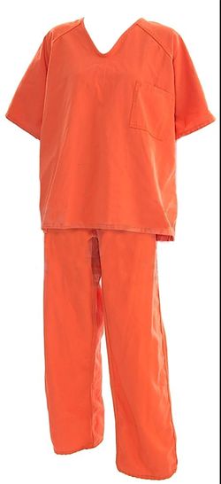 Prison Inmate Halloween Costume