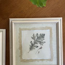 Pair Of Leaf Prints