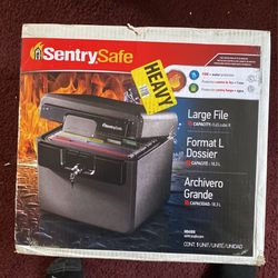 Sentry Safe