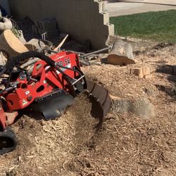 Stump Grinding