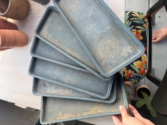 Six planter trays