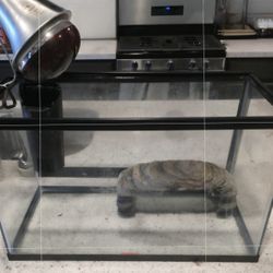 Fish/Turtle Terrarium