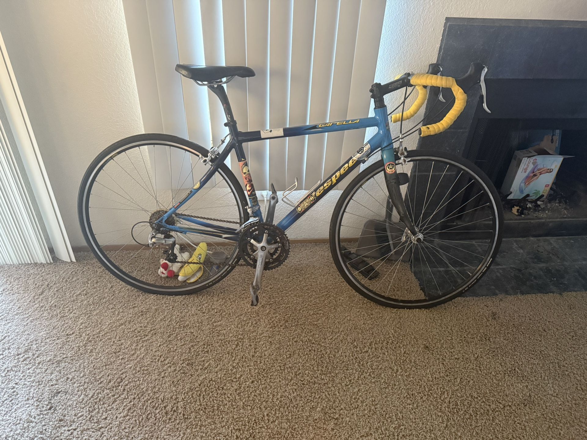 Litespeed 24 Speed Road Bike
