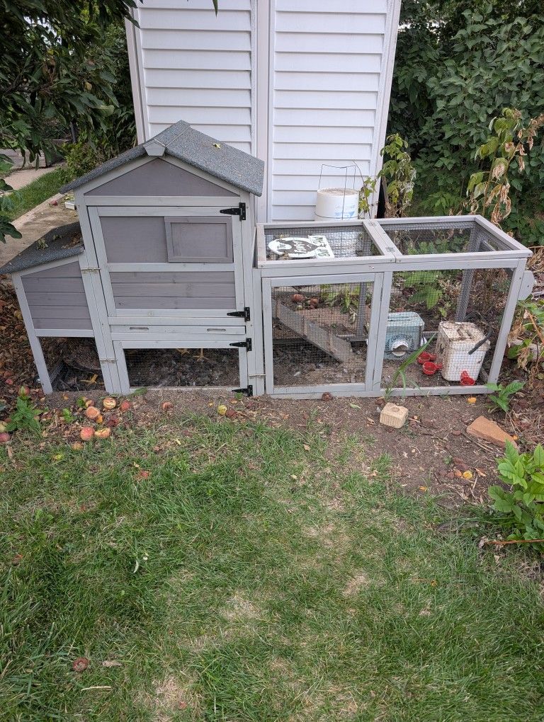 Chicken Coop