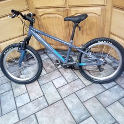 Youths   20".... 8 speed like new