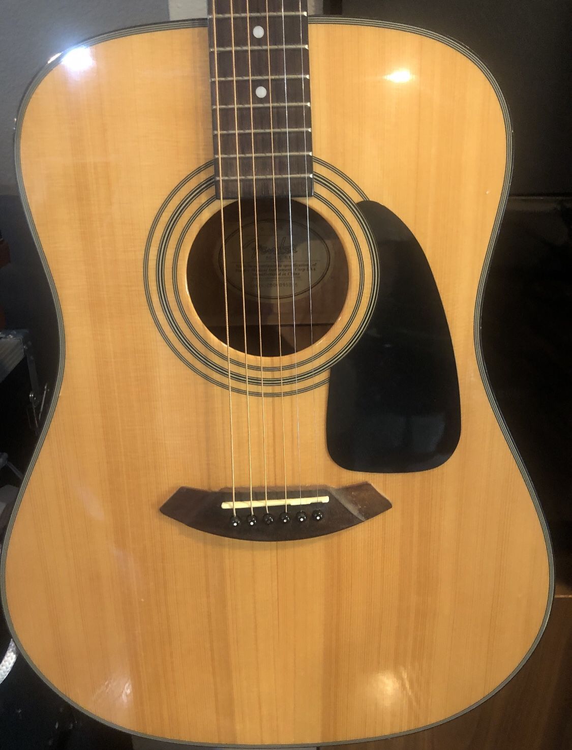 Fender Accoustic