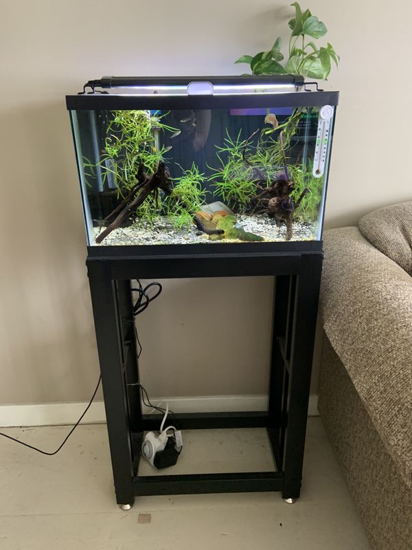 10 Gallon Fish Tank Stand