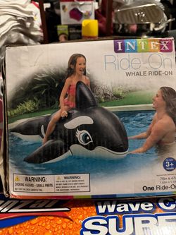 Ride on whale