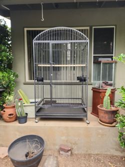 Bird Cage