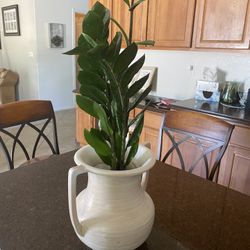 Ceramic Pot And Plant 