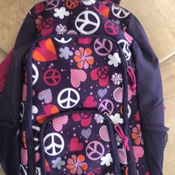  Backpack For Camping School Or Overnight 