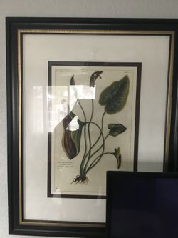 Beautiful Painting Frames