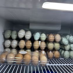 Farm Fresh Eggs Available 