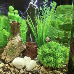 Biorb 30 Acrylic Fish Tank.  8 Gallon Tank 
