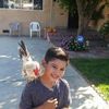 Pancho