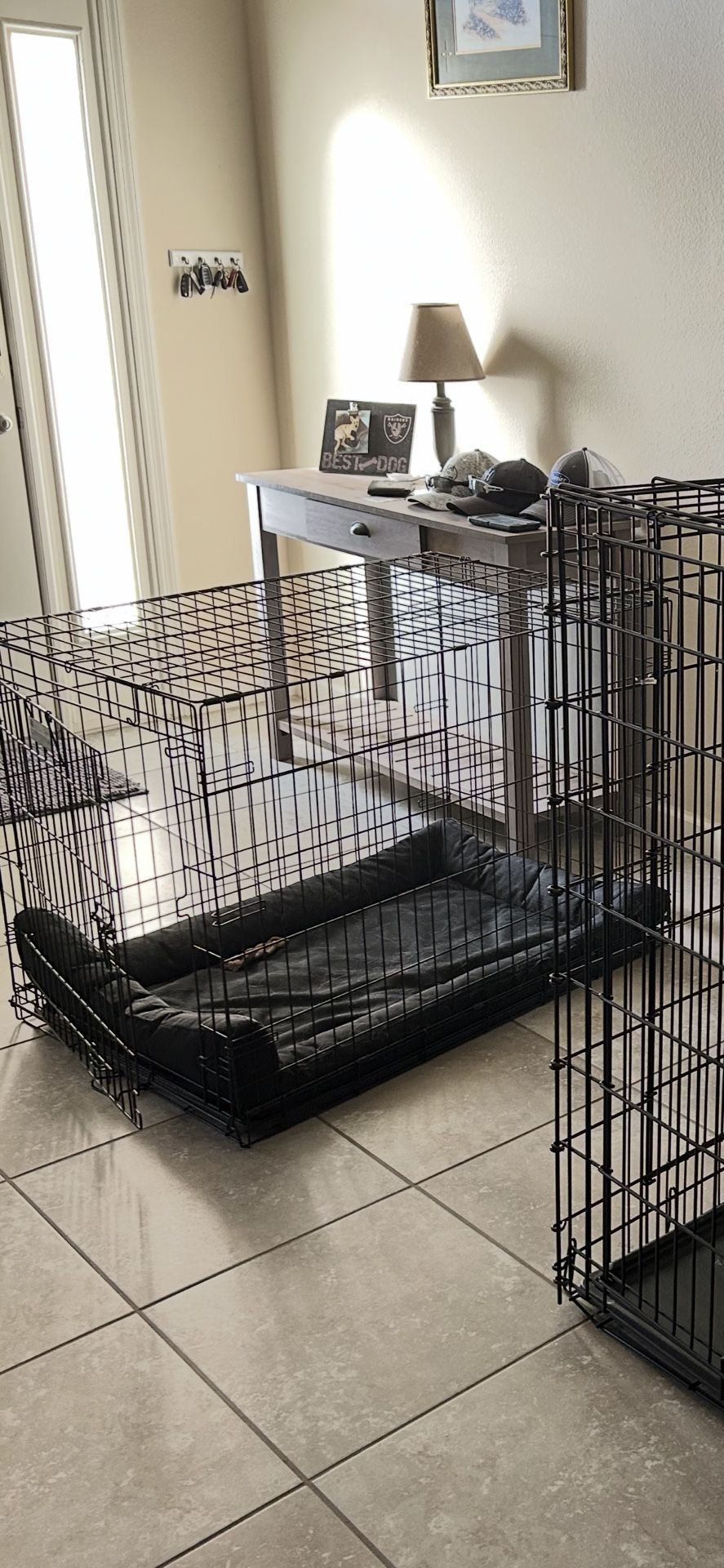 Dog crate (Large)