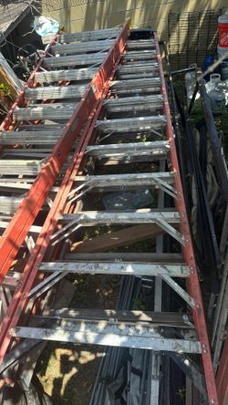 Escaleras de 12 pies 350 cada uno