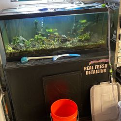 Fish Tank 75g