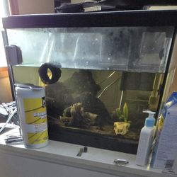 Fishtank With LIVE fish/snails