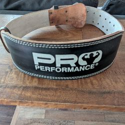 Pro Performance Weight Belt