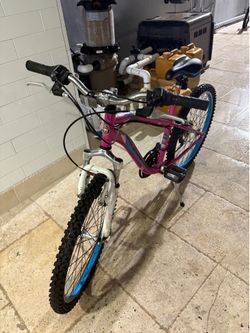 Schwinn bikes