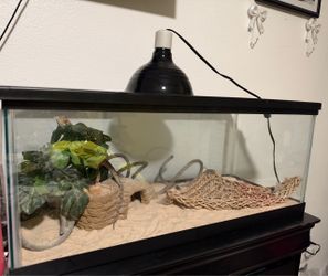 20 gallon reptile tank