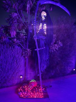 Halloween 12 Feet