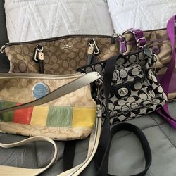 Coach Purses