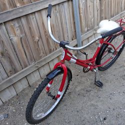 24" Schwinn Cruiser