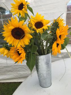 Vases