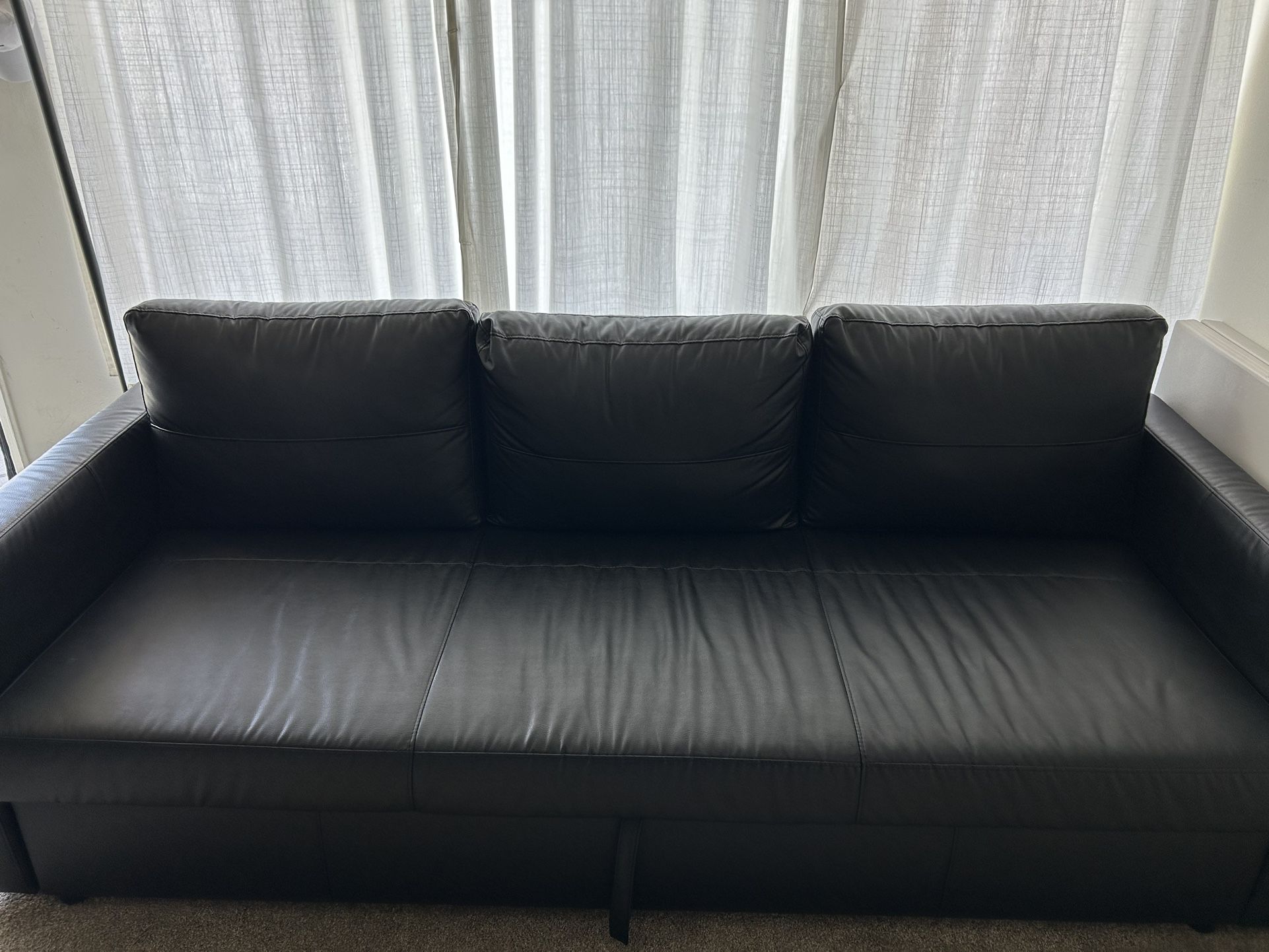 Sleeper Sofa (Ikea)