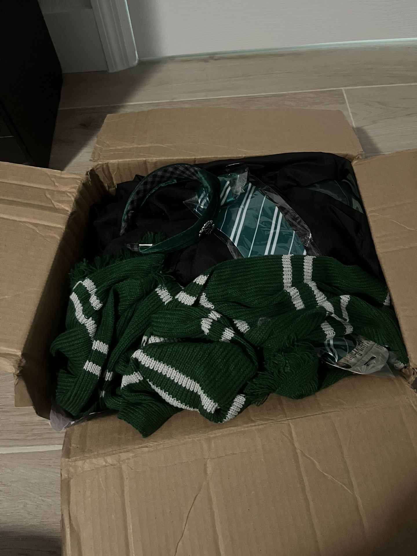 Slytherin Halloween Costume