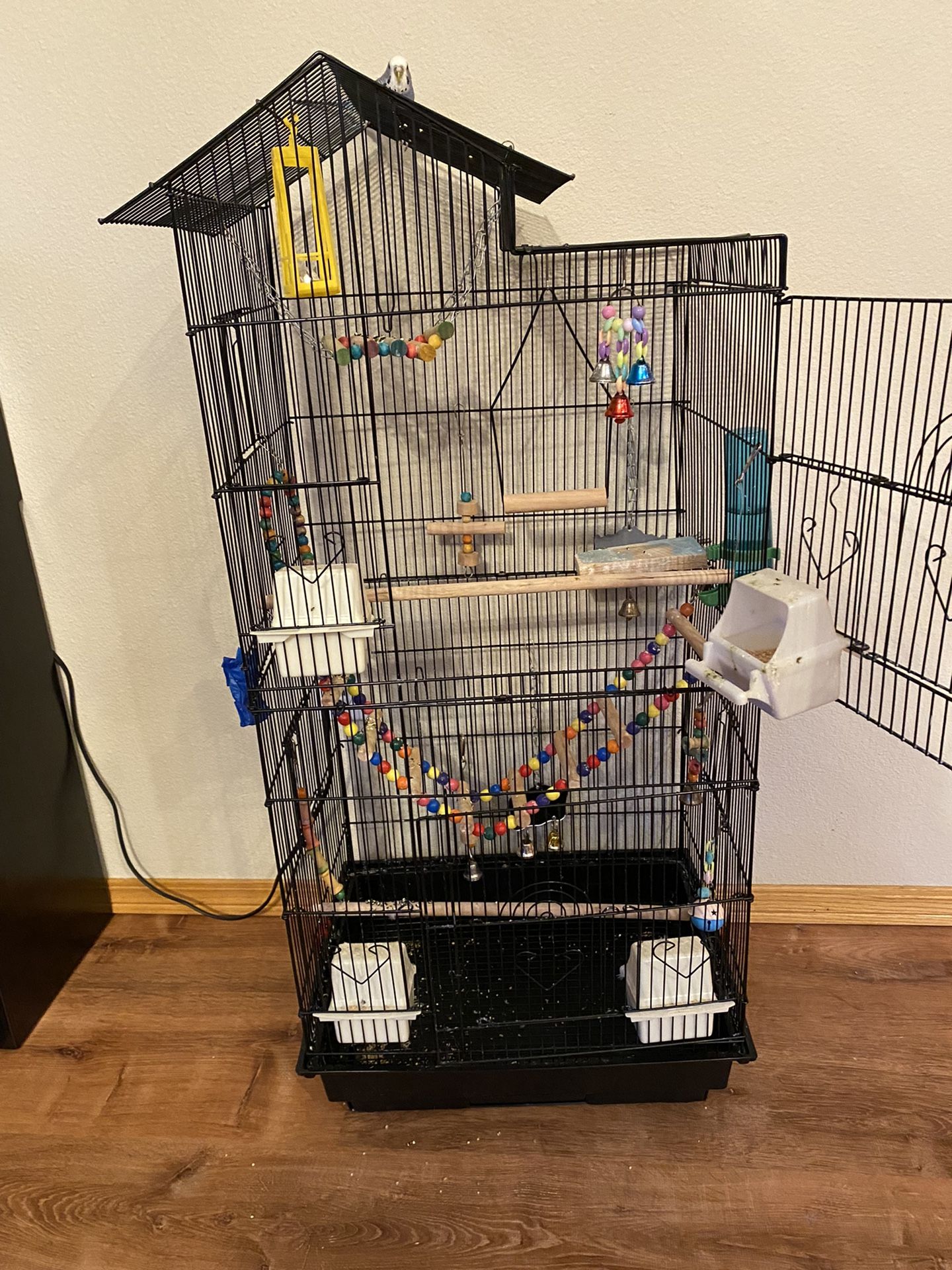 Bird Cage
