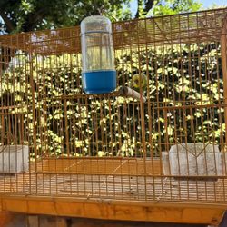 Spacious Bird Cages – Great Condition – All Sizes!