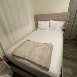 Bed Frame / Mattress / Box Spring 
