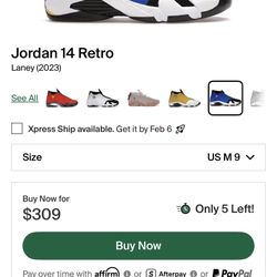Jordan 14 Laneys 