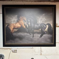 Horse Picture