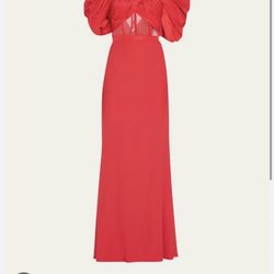 Alexander McQueen Corset Gown