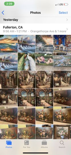 Beautiful Oil Paintings!!!!!All sizes