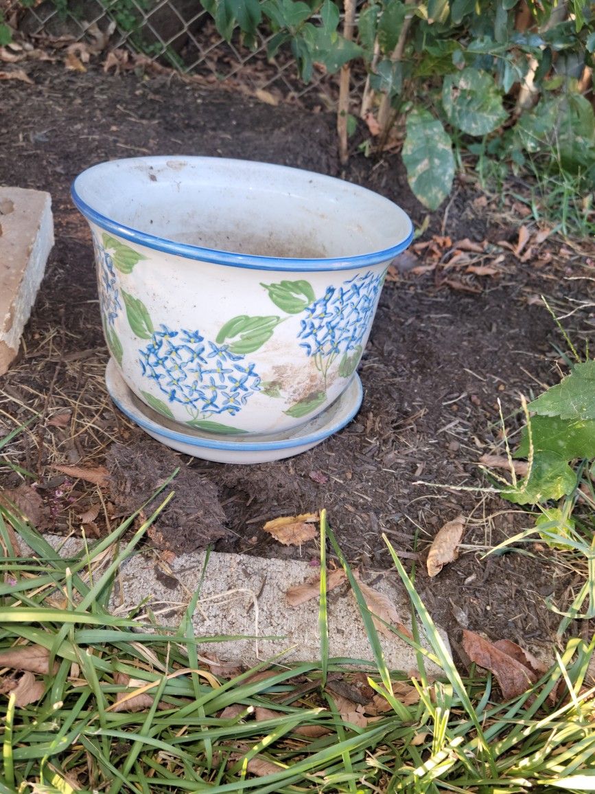 Flower Pot